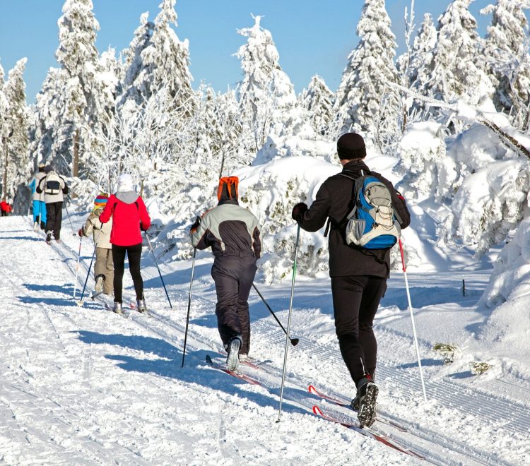 Ski de fond à Sorel-Tracy